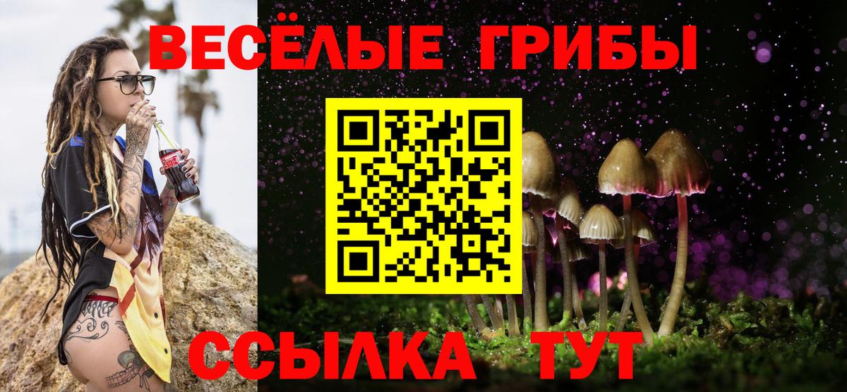 Анжеро-Судженск  Псилоцибиновые грибы GOLDEN TEACHER  Вход с VPN  Псилоцибиновые грибы ЛСД 